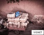 VIGNET anagram