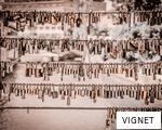 VIGNET anagram