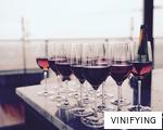 VINIFYING anagram