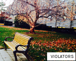 VIOLATORS anagram