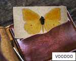 VOODOO anagram