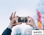 WAVED anagram