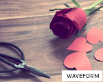WAVEFORM anagram