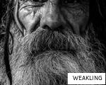 WEAKLING anagram
