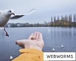 WEBWORMS anagram