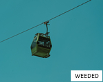 WEEDED anagram