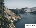 WEEDED anagram