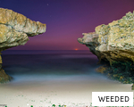 WEEDED anagram