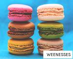 WEENESSES anagram