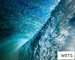 WETS anagram