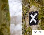 WHEAL anagram