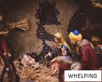 WHELPING anagram