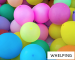 WHELPING anagram