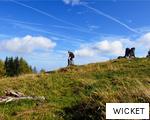 WICKET anagram