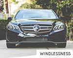 WINDLESSNESS anagram