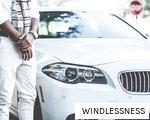 WINDLESSNESS anagram