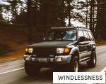 WINDLESSNESS anagram