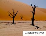 WINDLESSNESS anagram