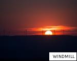 WINDMILL anagram