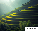 WINERIES anagram