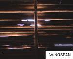 WINGSPAN anagram