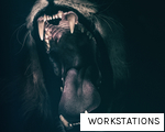 WORKSTATIONS anagram