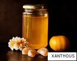 XANTHOUS anagram