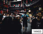YANGS anagram