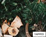 YAPPED anagram