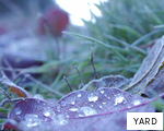 YARD anagram