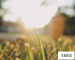 YARD anagram