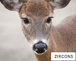 ZIRCONS anagram