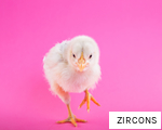 ZIRCONS anagram